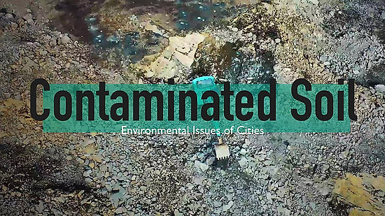 Contaminated Soil